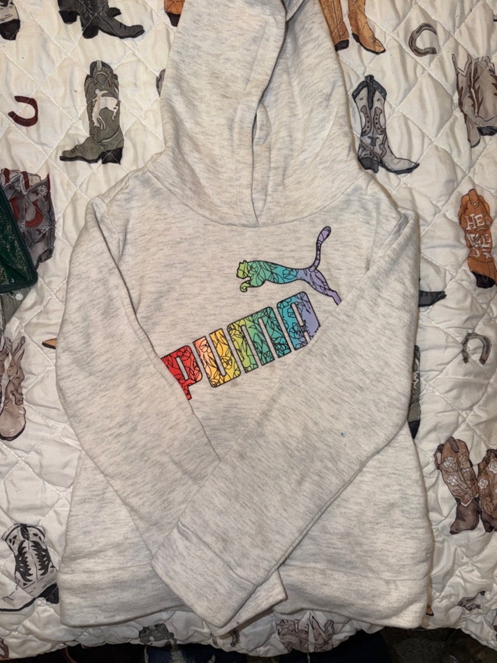 Puma Heather Gray Hoodie with Rainbow Puma Logo